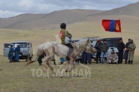 Б.Баярсайханы Цоглог шарга 