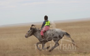 Манлайн хүү одтой наадав