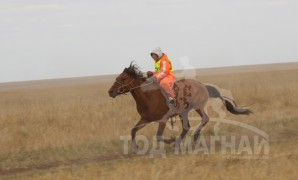 Манлайн хүү одтой наадав