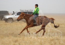 С.Ганбаатарын зээрд 