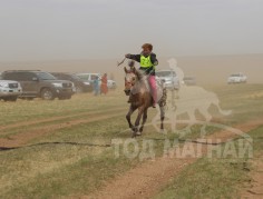 Баасандоржийн буурал