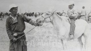 Аймгийн Алдарт уяач Б.Цэрэндондов: Дэлгэрийн даншигт цагаан морио айрагдахад аавыгаа л их үгүйлсэн