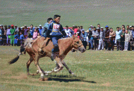 Дааганы аман хүзүү, айргийн гурав