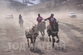 Гачууртын уяачдын холбоо таван нас хүрлээ