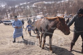 Гачууртын уяачдын холбоо таван нас хүрлээ