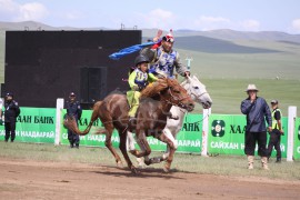 Батбилэгийн Бага янзага зээрд