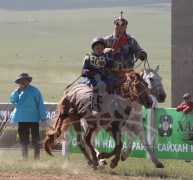 Дашдэлэгийн Сүхбаатарын хонгор халзан