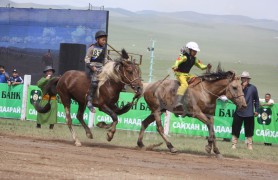 Д.Сугарын хул, Жаргалсайханы хул алаг