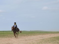 Говийн бүсийн уралдаанд эхний 10-т хурдалсан хурдан дааганууд