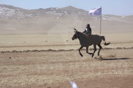 Айргийн гуравт хурдалсан Бүрэнжаргалын бор хязаалан