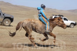 Аман хүзүүнд хурдалсан Энхтайваны хонгор