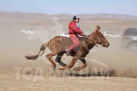 Атарсайханы халтар түрүүллээ