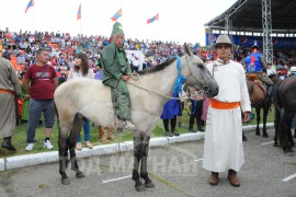 Цол мялаасан унаган загал