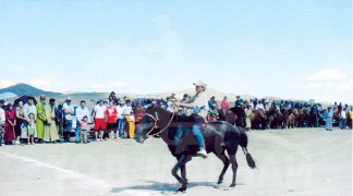 Айргийн гуравт хурдалсан Б.Бат-Олдохын хар соёолон