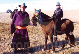 Айргийн тавт хурдалсан аймгийн Алдарт уяач Д.Мөнхсуурийн хүрэн халзан хязаалан