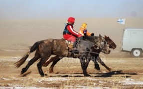 “Сэцэн ханы хурд-2015” уралдаанд эхний 10-т хурдалсан их насны морьд