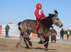 Т.Болдбаатарын халиун