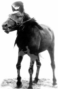 МУ-ын Манлай уяач Х.Сүрэнхор: Босоо хээр маань Хэрлэнгийн хөдөө аралд надад ерөөлөөр заяасан хүлэг
