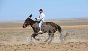 “Увс төвийн бүсийн хурд-2015” хурдан соёолонгууд