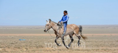 “Увс төвийн бүсийн хурд-2015” хурдан их насны морьд