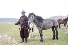 Аймгийн Алдарт уяач Н.Очиржанцан: Бор азарга маань намайг олонтой танилцуулсан