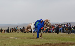 Шилдгийг шалгаруулах “Адуучин 2015” тэмцээнээс...