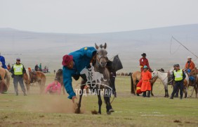 Шилдгийг шалгаруулах “Адуучин 2015” тэмцээнээс...