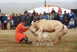 Шилдгийг шалгаруулах “Адуучин 2015” тэмцээнээс...