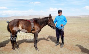 Монгол үрээгээ хасуулсан уяачид гомдолтой байна