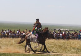 Айргийн дөрөв-Д.Одгэрэлийн бор