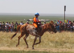 Долоо-Н.Даш-Өлзийн хонгор