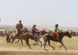 Айргийн дөрөв-Л.Гэрэлтийн зээрд, айргийн тав-Б.Махбалын зээрд халзан