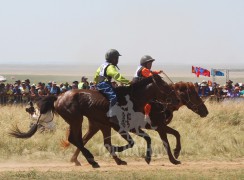 Зургаа-Х.Доржхоролын зээрд, долоо-М.Энхболдын хээр