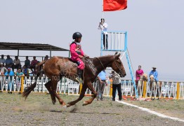 Айргийн дөрөв-Д.Сэр-Одын хүрэн халзан