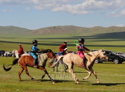 Айргийн гурав-н.Мягмардоржийн шарга, айргийн дөрөв-Ч.Хишигбаатарын хээр