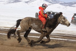 Болдбаатарын халиун