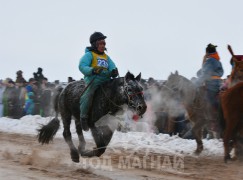 Намсрайн Лутбаярын халтар 