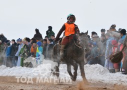 Ч.Батсайханы хар