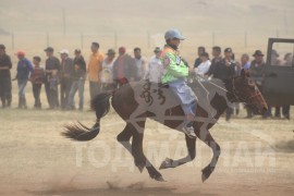 Айргийн дөрөвт хурдалсан Бат-Эрдэнийн хээр шүдлэн