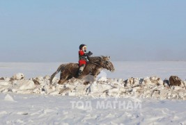 Лувсандоржийн Дамбадаржаагийн хамар цагаан зээрд