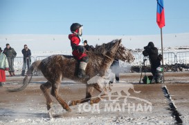 Лувсандоржийн Дамбадаржаагийн хамар цагаан зээрд