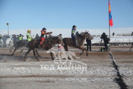 Банзрагчийн Билэгдэмбэрэлийн хээр, Чулуунбаатарын Гансумын сартай хээр, Мандахын Мөнхбатын бор халзан