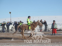 Баатарын Даваадоржийн хонгор халзан