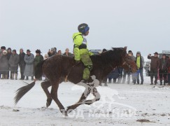 Ч.Баярбаатарын хээр