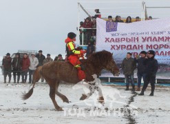 Ж.Батсайханы хонгор халзан