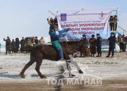 Д.Ганзамын хүрэн халзан