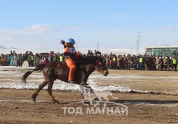 Ц.Баянжаргалын сартай хээр