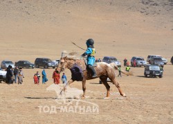 Зургаад хурдалсан буурал