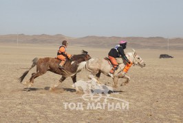 Ж.Отгонбаярын цагаан, Ж.Энхчимэгийн хул алаг