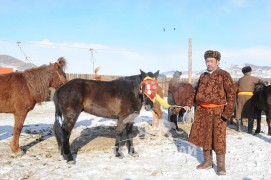 Аймгийн Алдарт уяач Г.Ганбаатар: Багаагийн адуу таньж байсан түүх олон бий